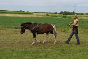 imgp6401 1er août, ballade aux guides avec harnachement complet