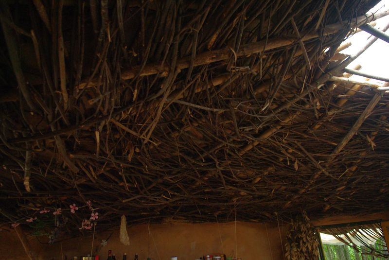 Le plafond de la cuisine du Magic Rock circus