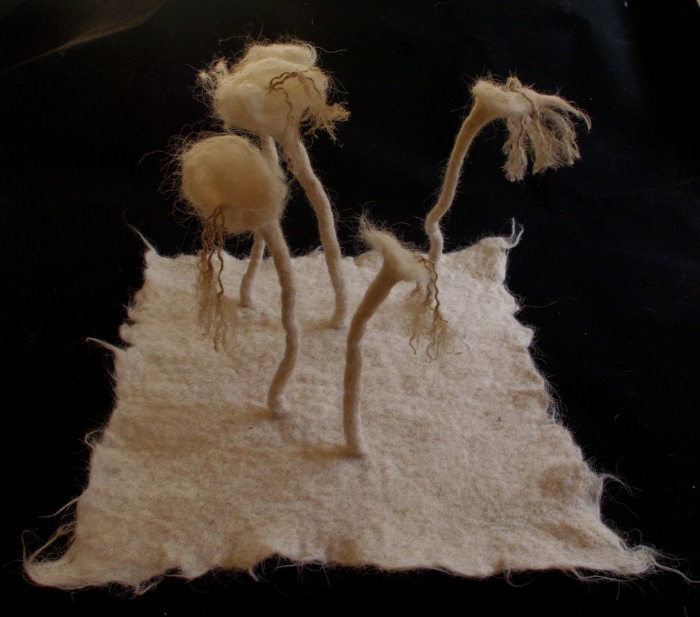 "Hebes folles" laine feutrée, ficelle, fil de cuivre. 2015, 150€