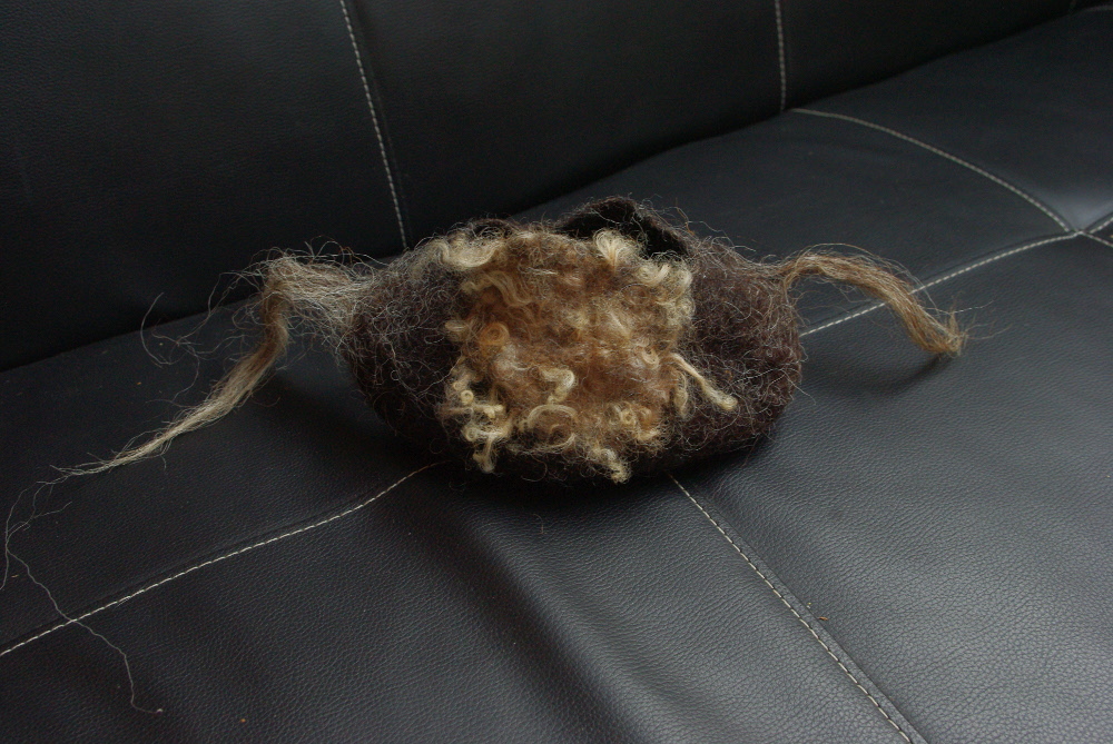 Sans-titre, laines feutrées (Noire du Velay, agneau Xaxi Ardia), 20x10cm, 2015